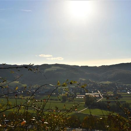Ferienhaus Esten'S Eifelheimat Wehr Eifel 外观 照片